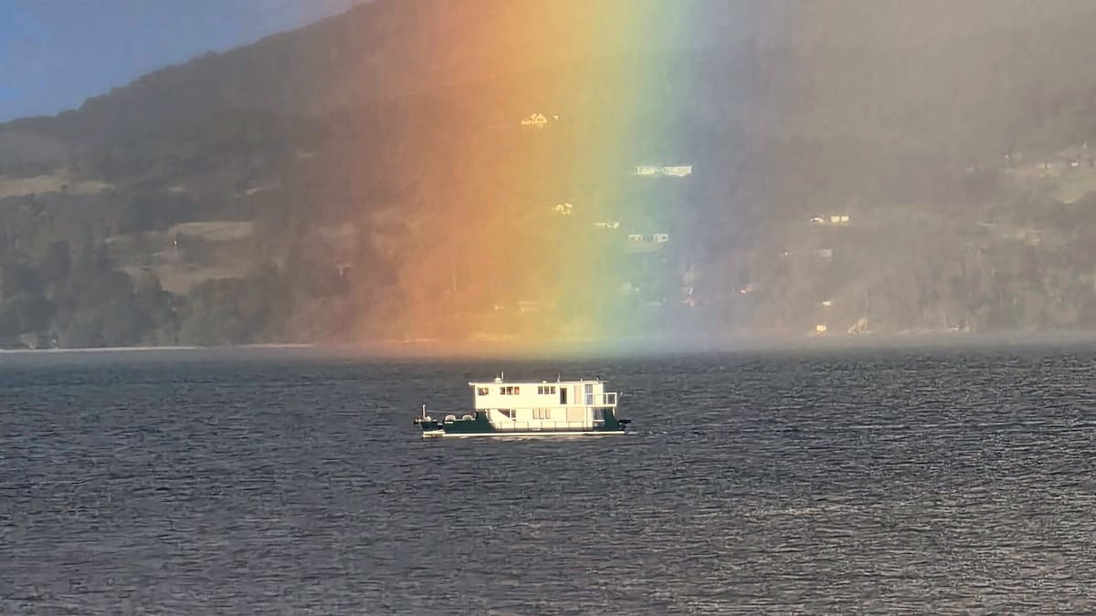 Whangārei couple’s unique floating house turns heads