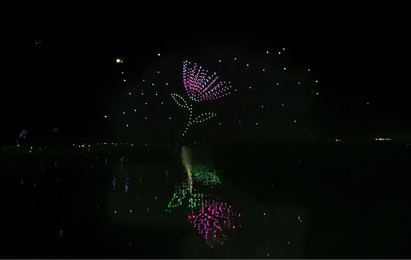 A pōhutukawa in blooms depicted in the Aronui Matariki Drone Show over Rotorua Lakefront. Photo / Āio Media