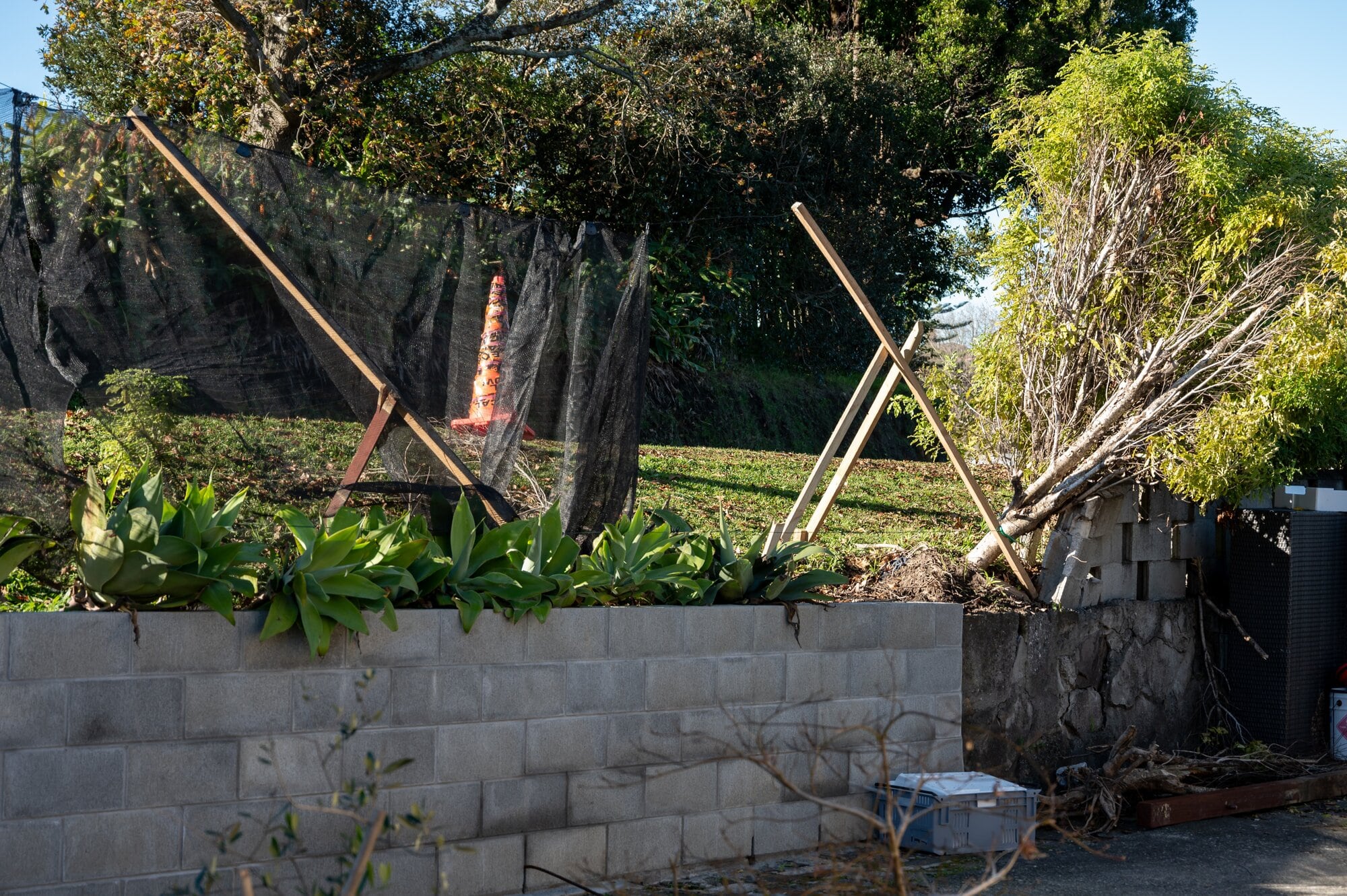 Damage to the trees and retaining wall of Mike's home in Courtney Rd in Gate Pā. Photo / Brydie Thompson