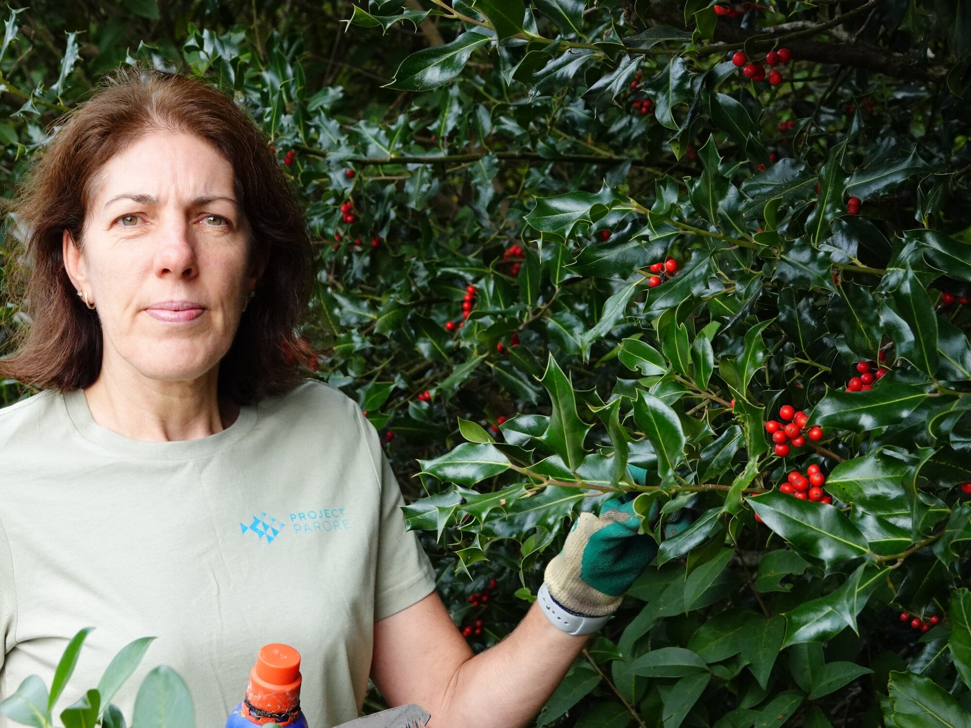  Sharon Strong with the red berry plant.