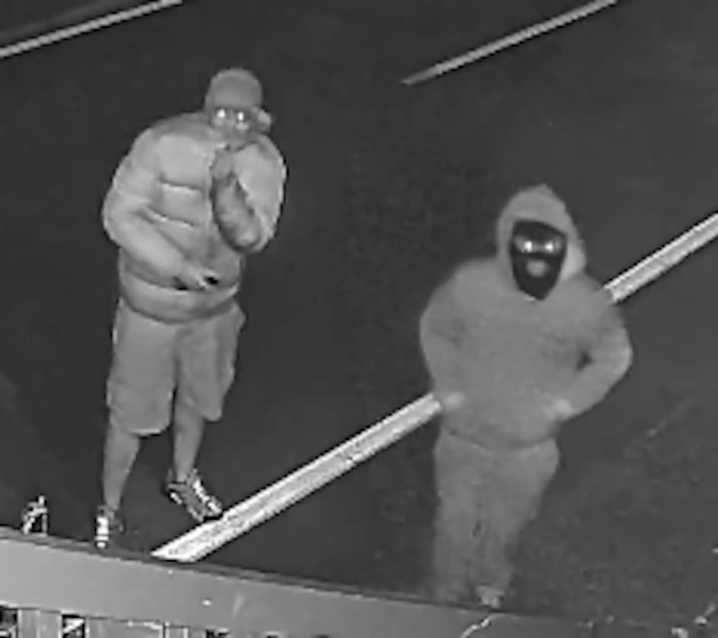 The two young thieves 'cased out' the house prior to stealing the flag. Photo / supplied.