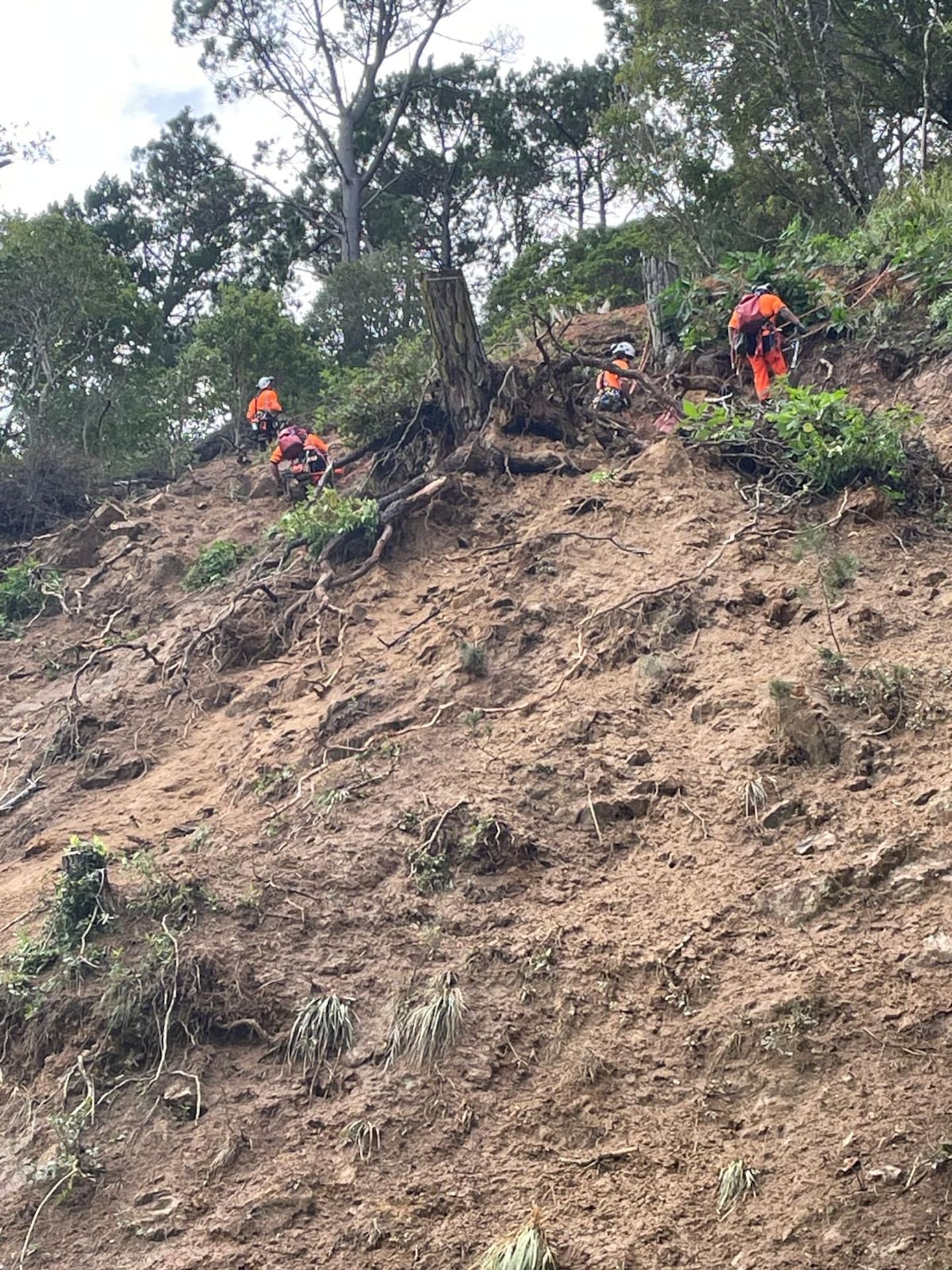 SH25 has reopened after a slip closed the Thames-Coast Rd between Ruamahunga and Tapu this morning. Photo / NZTA