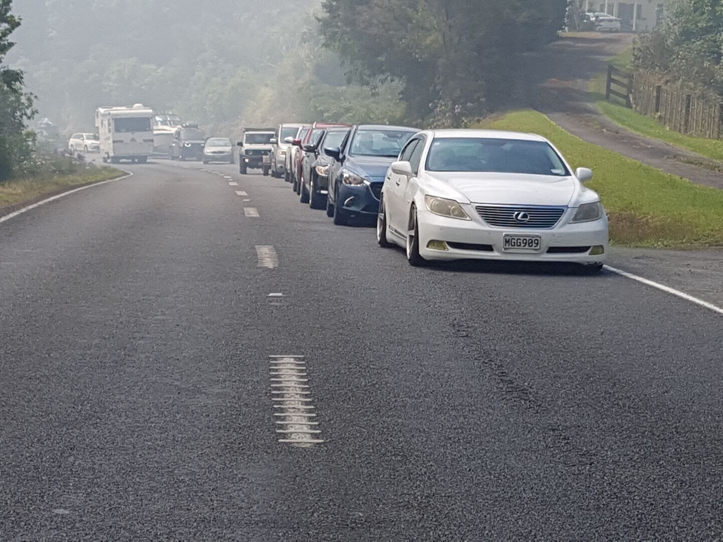 Cars lined up on Whangārei Heads Rd. Photo / Karina Cooper