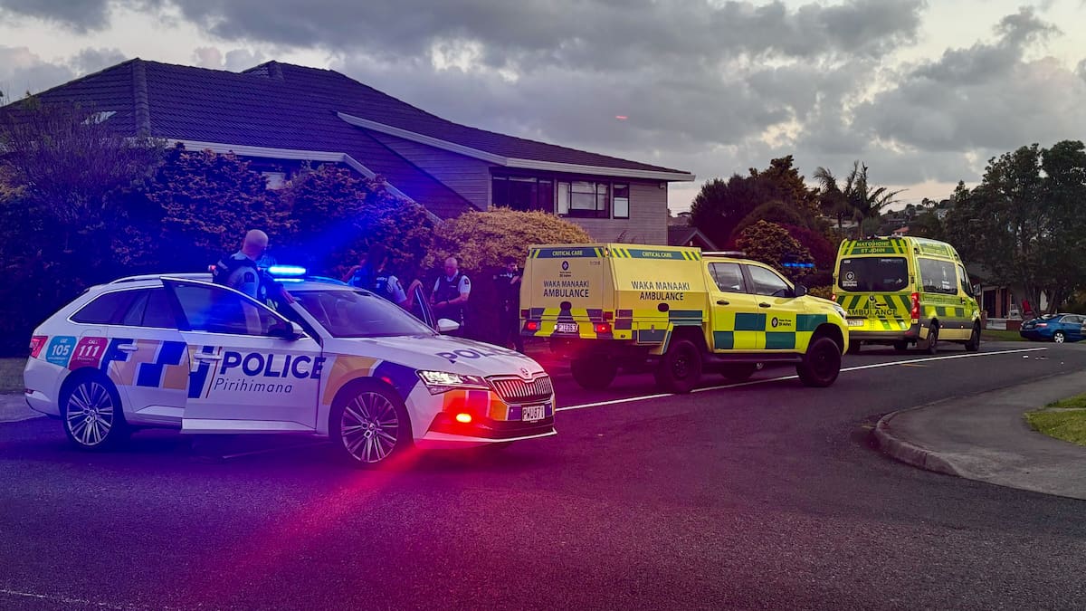 Pedestrian seriously injured after crash in West Auckland Pedestrian seriously injured after crash in West Auckland