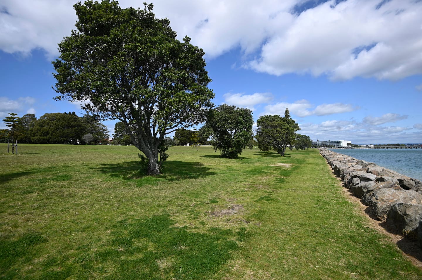 The council says Marine Park is an ideal site for the new facility. Photo / George Novak