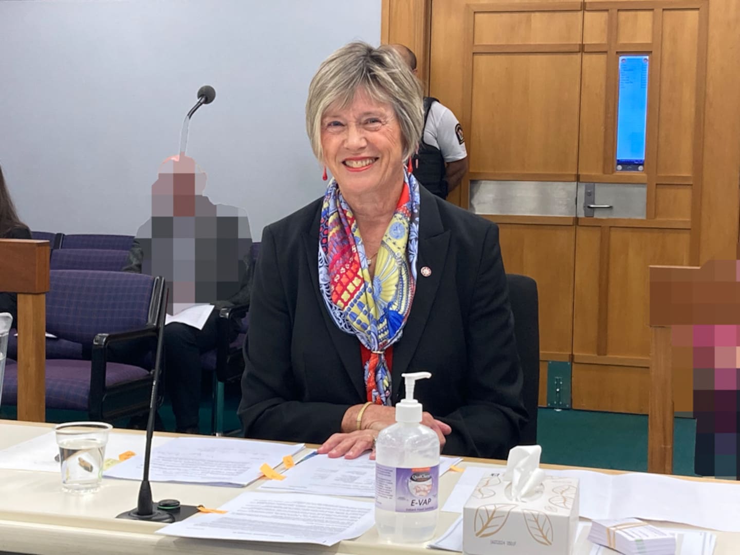 Dame Kerry Prendergast in the Wellington District Court on 25 October 2024 where she is defending a parking ticket. Photo / Catherine Hutton.