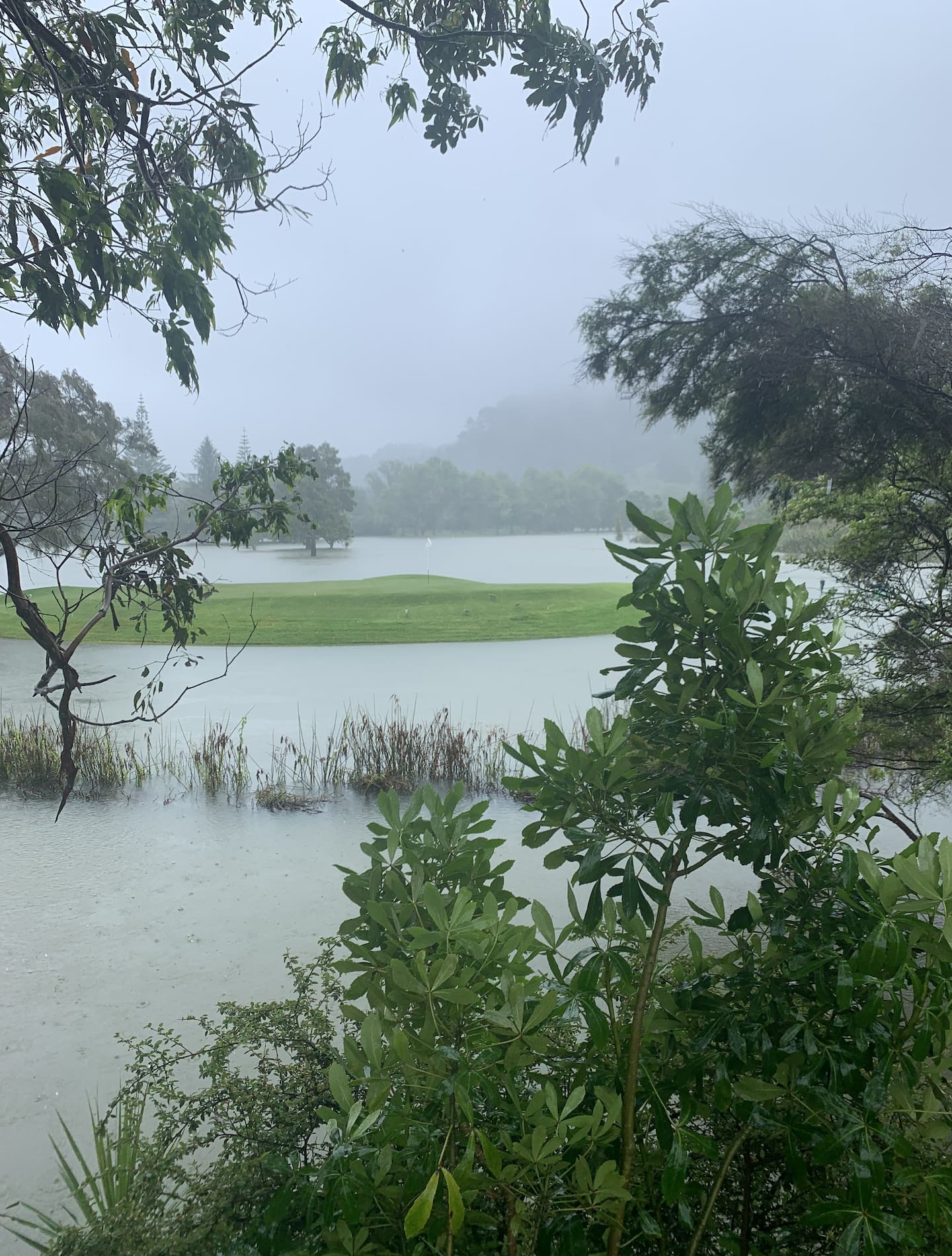 Whangamatā Golf Club suffered significant flooding during Cyclone Gabrielle and was forced to close for three months.