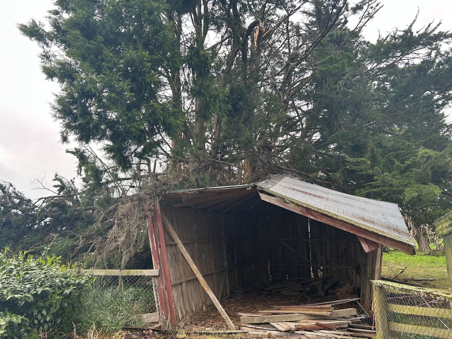 High winds caused havoc across the South Island on Thursday. Photo / Mike Thorpe