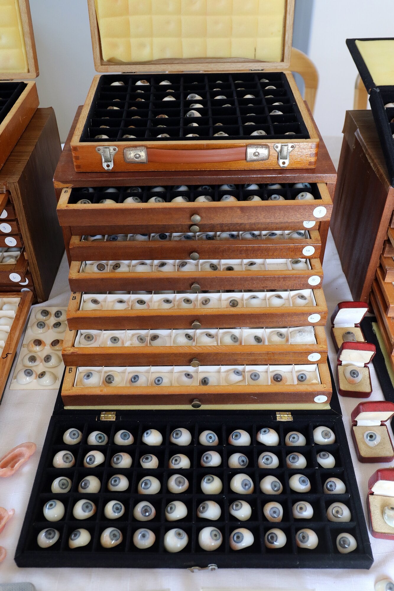  A small part of the collection. Photo / Stuart Whitaker