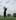 Tiger Woods tees off on the eighth tee during the third round of the 91st PGA Championship at Minnesota. Photo / AP