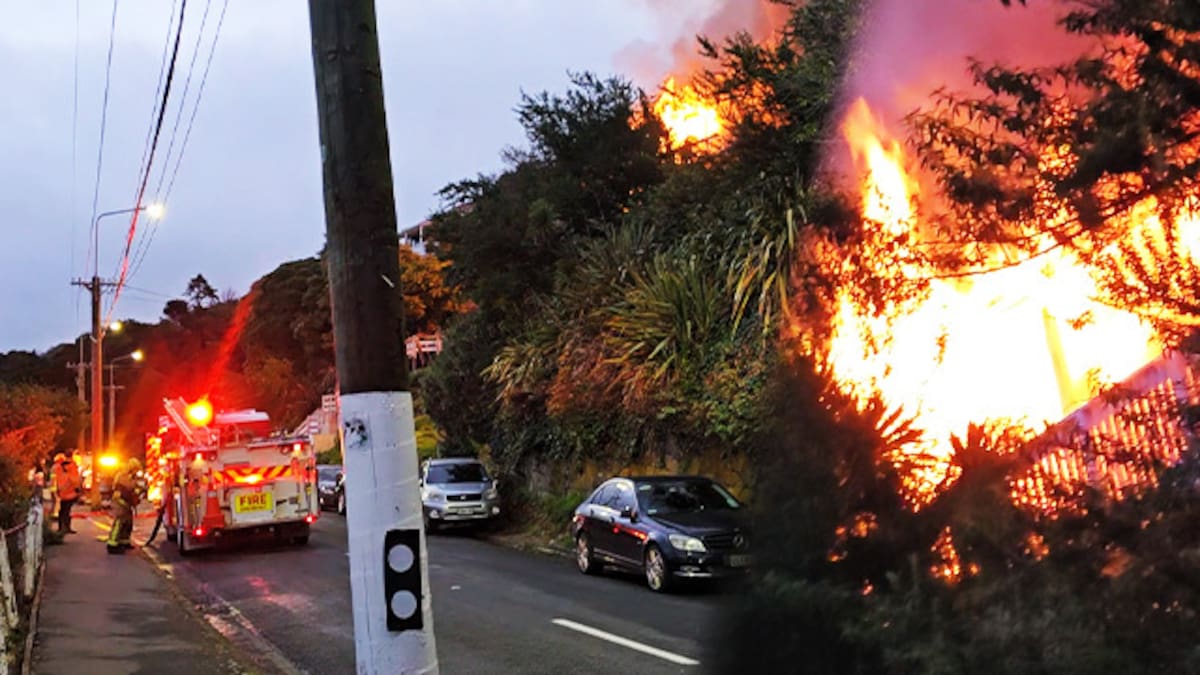 Watch: Fears for St Bernard as owner flees burning home, 3 Lyttelton houses alight Watch: Fears for St Bernard as owner flees burning home, 3 Lyttelton houses alight