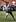 Dan Carter with the ball during the All Blacks public training session. Photo / Sarah Ivey