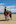 Horse riding at Orepuki Horse Treks, Southland. Photo / Videocopter
