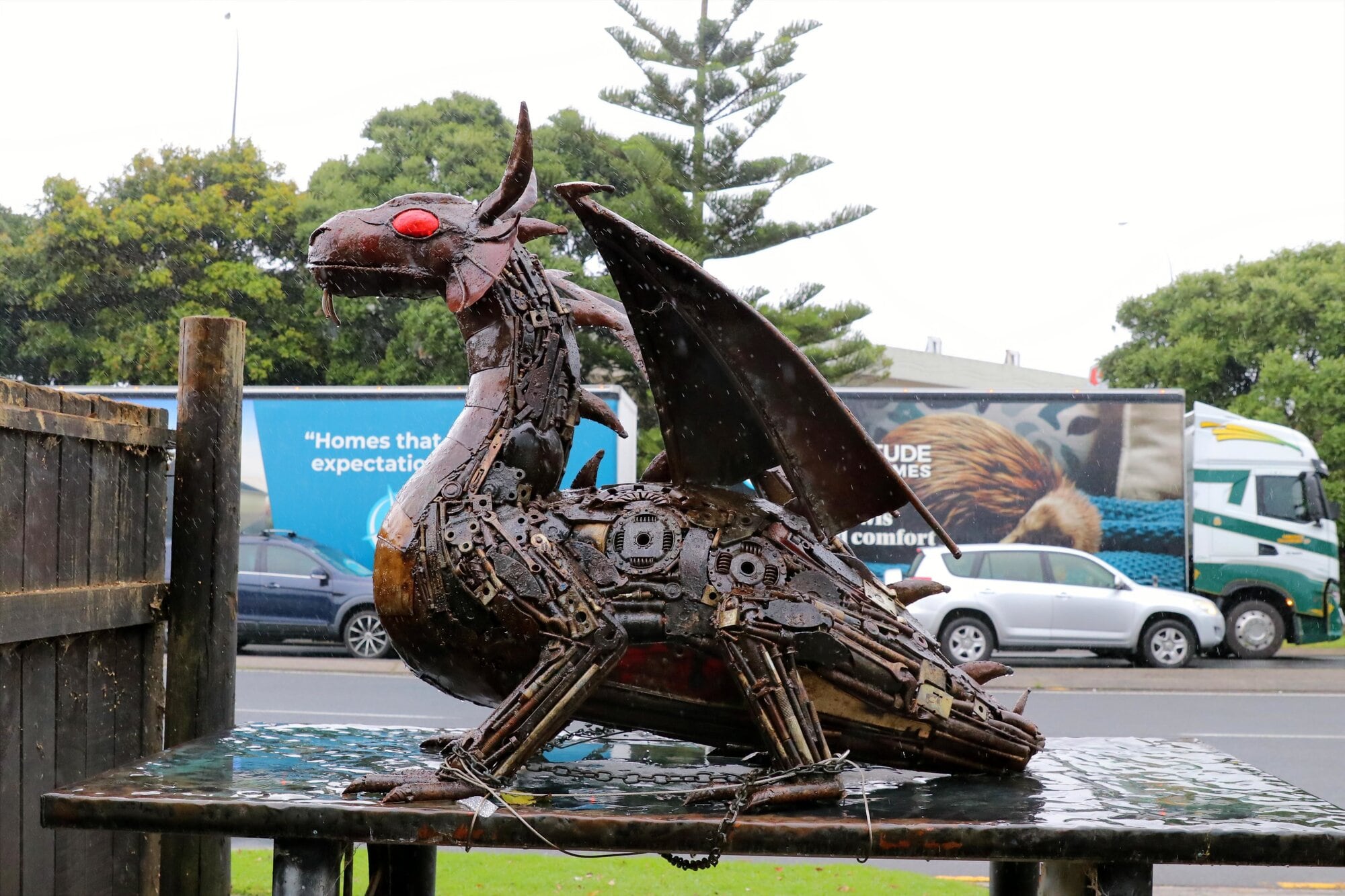  Toa Ahi has a new perch, staring directly over the fence at the neighbouring BP Connect petrol station on Maunganui Rd.  Photo / Kelly O&rsquo;Hara