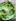 Crisp leaves with peas and buttermilk herb dressing. Photo / Alan Benson