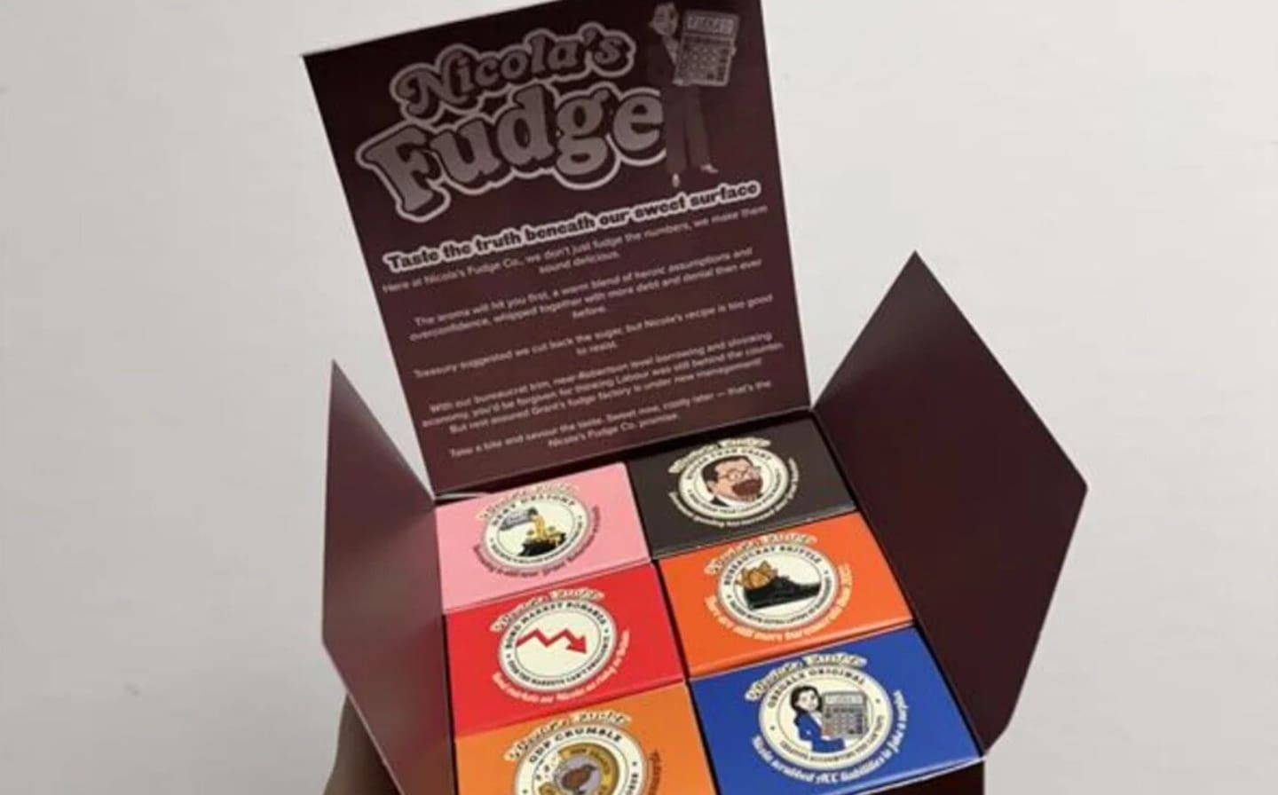The Taxpayers' Union released packaged fudge branded "Nicola's Fudge", with an image of Nicola Willis and the slogan "A treat today – a tax tomorrow". Photo / RNZ