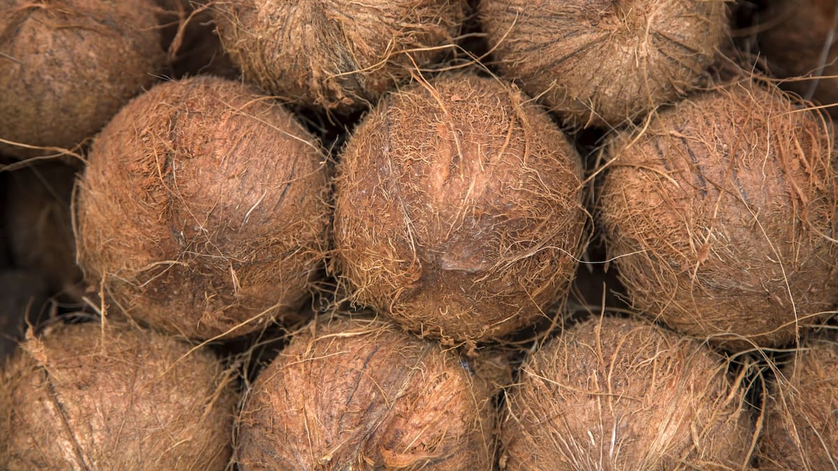 Coconuts and meth: The story behind NZ’s largest pseudoephedrine prosecution Coconuts and meth: The story behind NZ’s largest pseudoephedrine prosecution