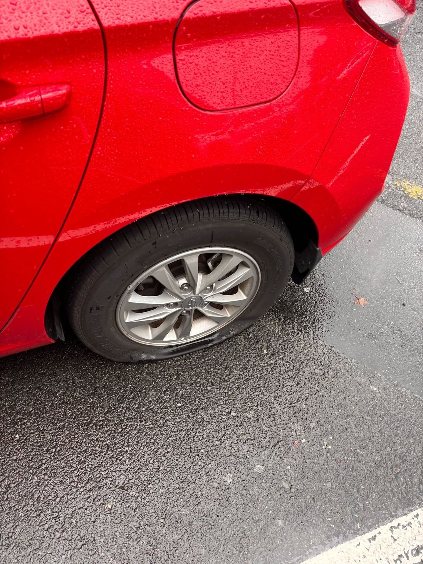 The rental car driven by English tourists that had its tyres slashed on Hinemoa St. Photo / Supplied