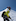 Climbers on Mont Blanc's Bosses Ridge. Photo / Nicolas Blandin, The New York Times