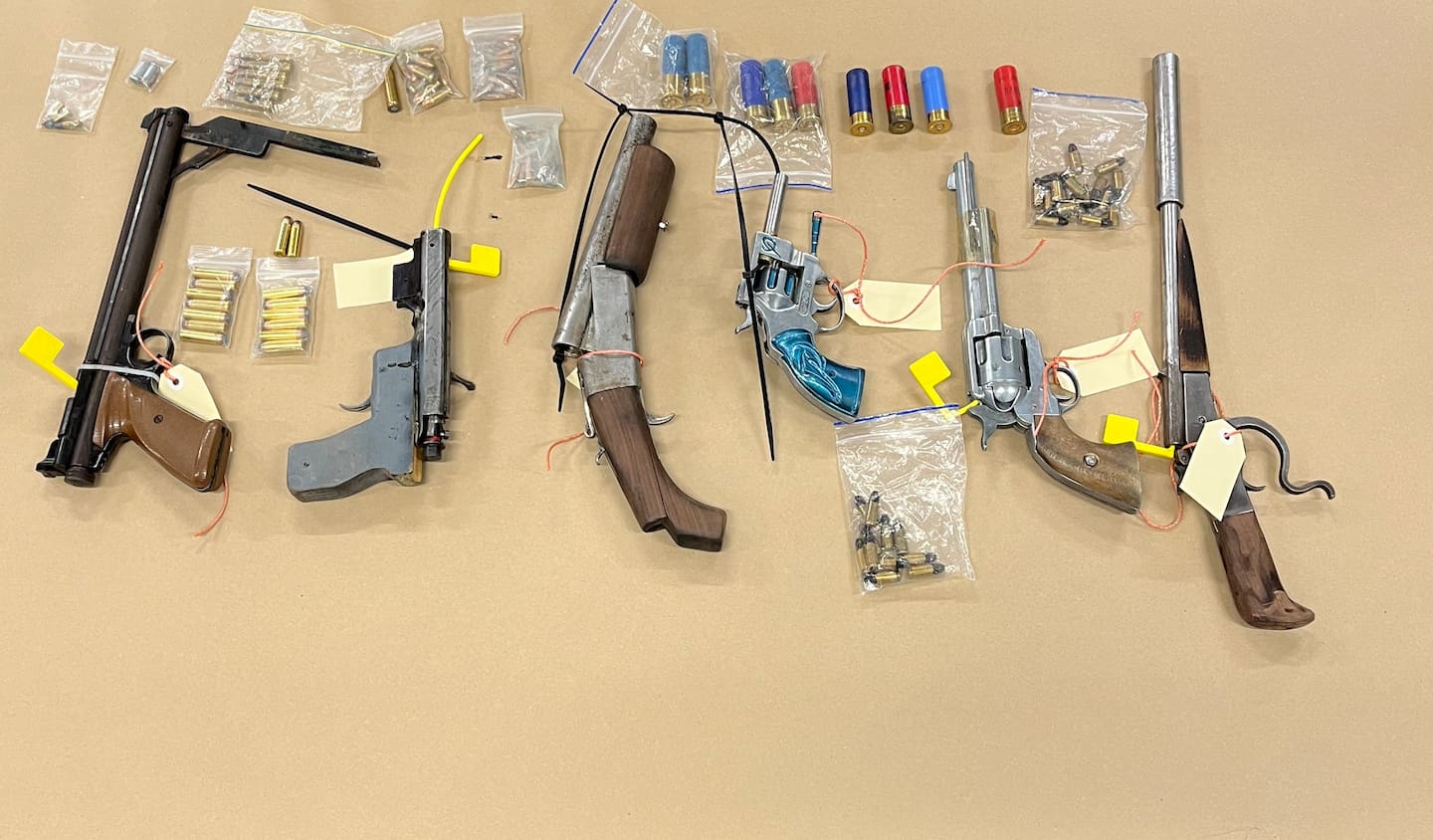 Police recovered six firearms while undertaking a warrant at a Dairy Flat address in Auckland.