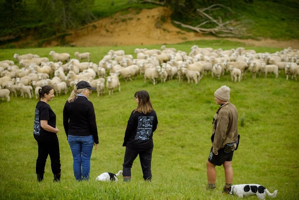  The Meet the Need charity is seeking more donations from farmers. Photo / Supplied