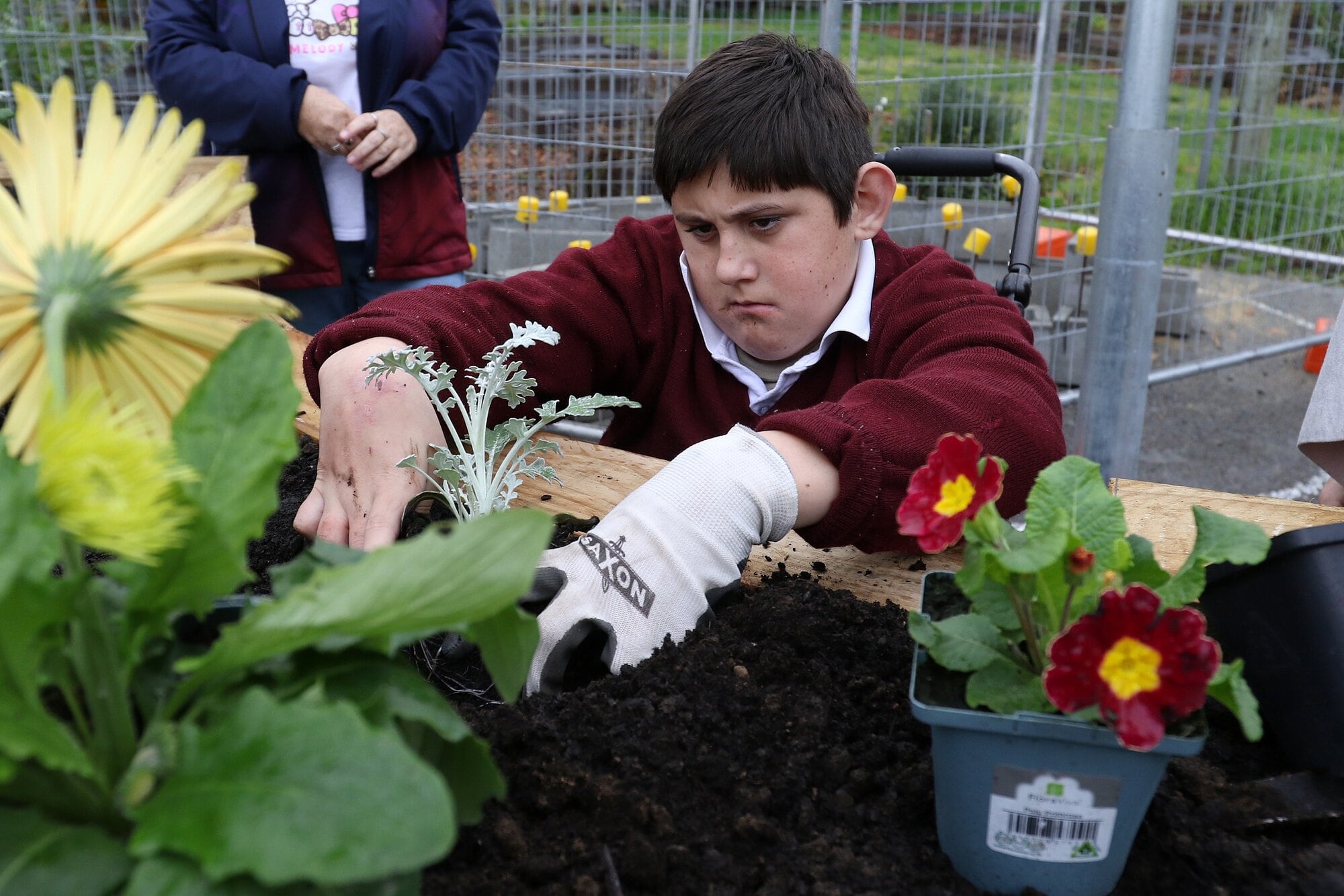 Year 11 student Silvio Shallcrass plants the first plant in the raised garden. Photo / Stuart Whitaker