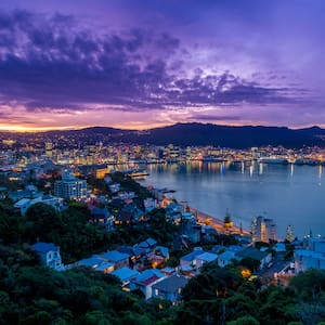 11 things to do in New Zealand’s coolest little capital, Wellington
