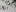 Photo / Eleanor Ozich