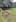 Three sheep were mauled by dogs, left alive and suffering, and later put down by a vet in the Totara Park area.