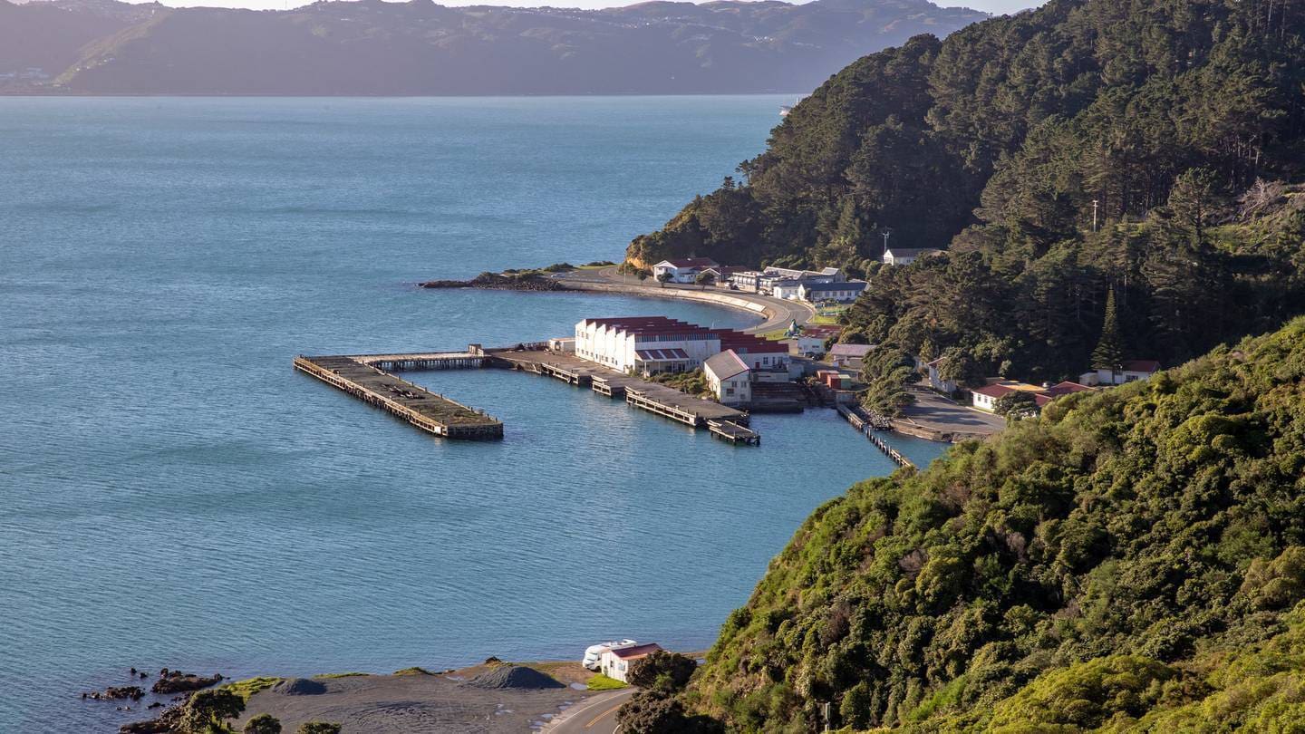 A development proposed by Sir Peter Jackson and Dame Fran Walsh aims to enhance the amenity of a site in Shelly Bay. Photo / Mark Mitchell