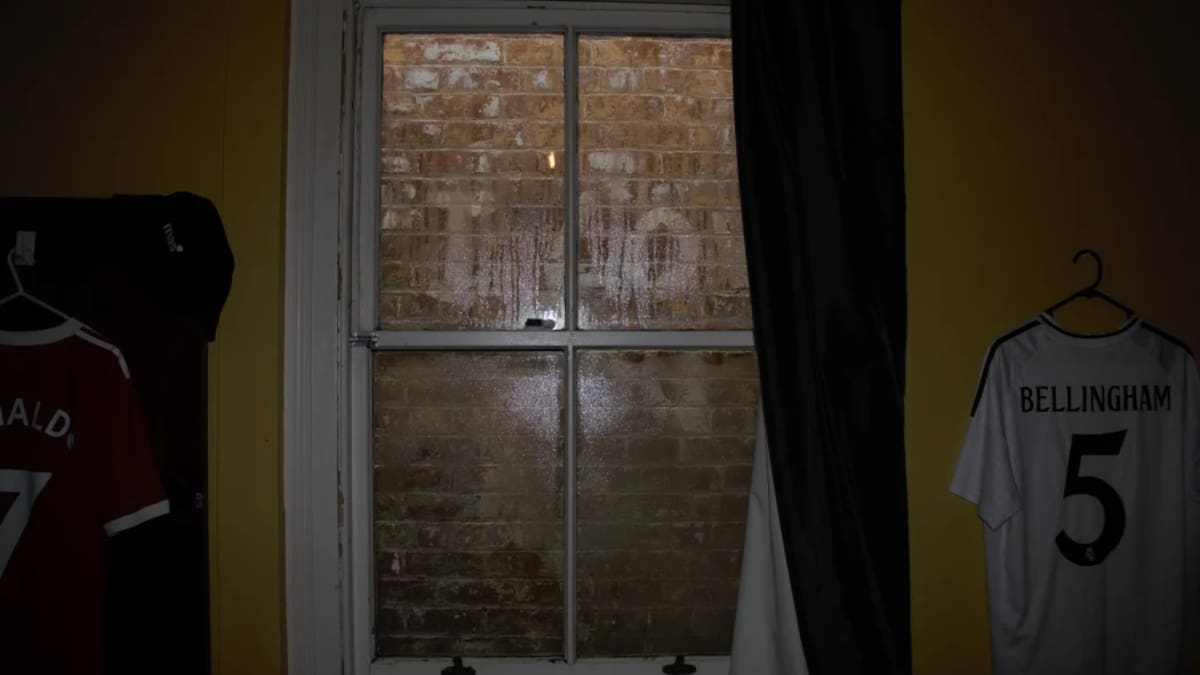 Dunedin Student Flats: 'Slum' Conditions Spark Health Concerns and Calls for Landlord Accountability