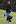 Malia Obama runs across the South Lawn of the White House with new dog Bo. Photo / AP