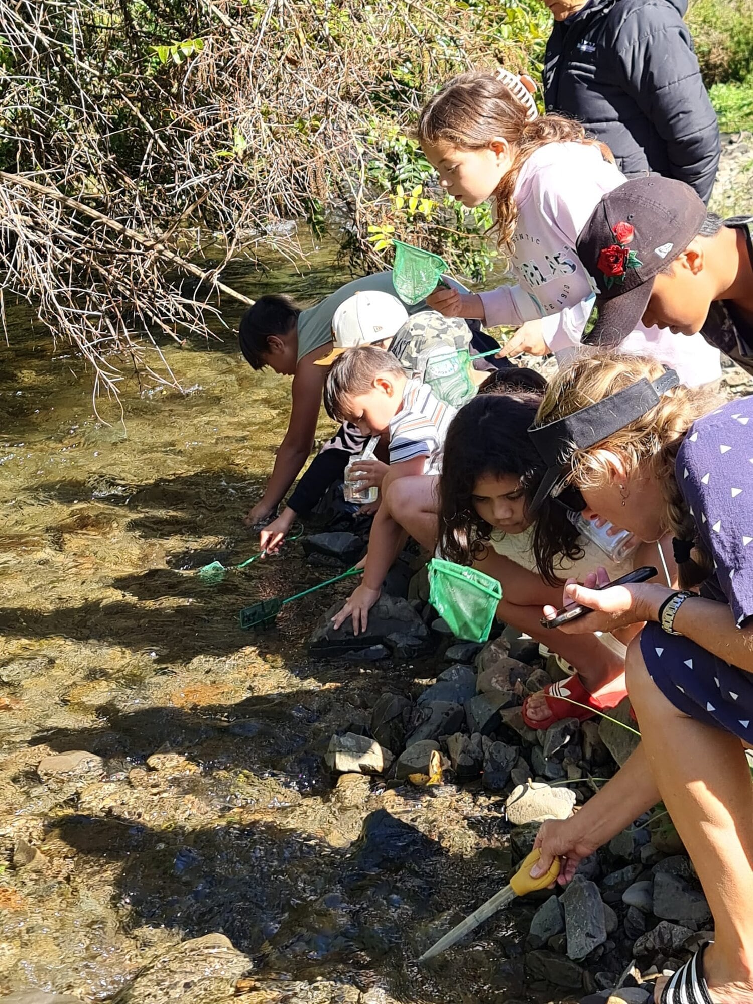 Students investigating water quality with the House of Science's Water Analysis / Te Wai resource kit. Photo / Supplied
