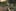 Call of Duty: Modern Warfare 2