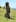 Moai on Easter Island. Photo / Supplied