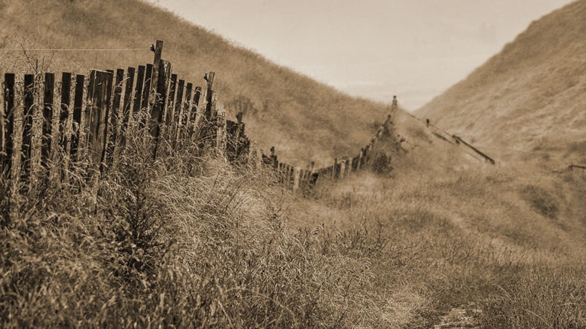 Pastures Past: Breaking in the land for farming