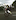 Still from video posted to Tik Tok of a motorcycle rider on the Southern Motorway over Waitangi Weekend popping a wheelie and riding without a helmet. Photo / Supplied