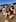 Bree Tomasel and Sophia Gould with their dogs Meryl Streep and Whitney Houston at Hot Water Beach in the Coromandel. Photo / Supplied