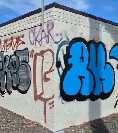 Kauri Pt before. Photo / Supplied