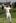 Y.E. Yang of South Korea celebrates after winning the 91st PGA Championship at the Hazeltine National Golf Club in Chaska, Minnesota. Photo / AP