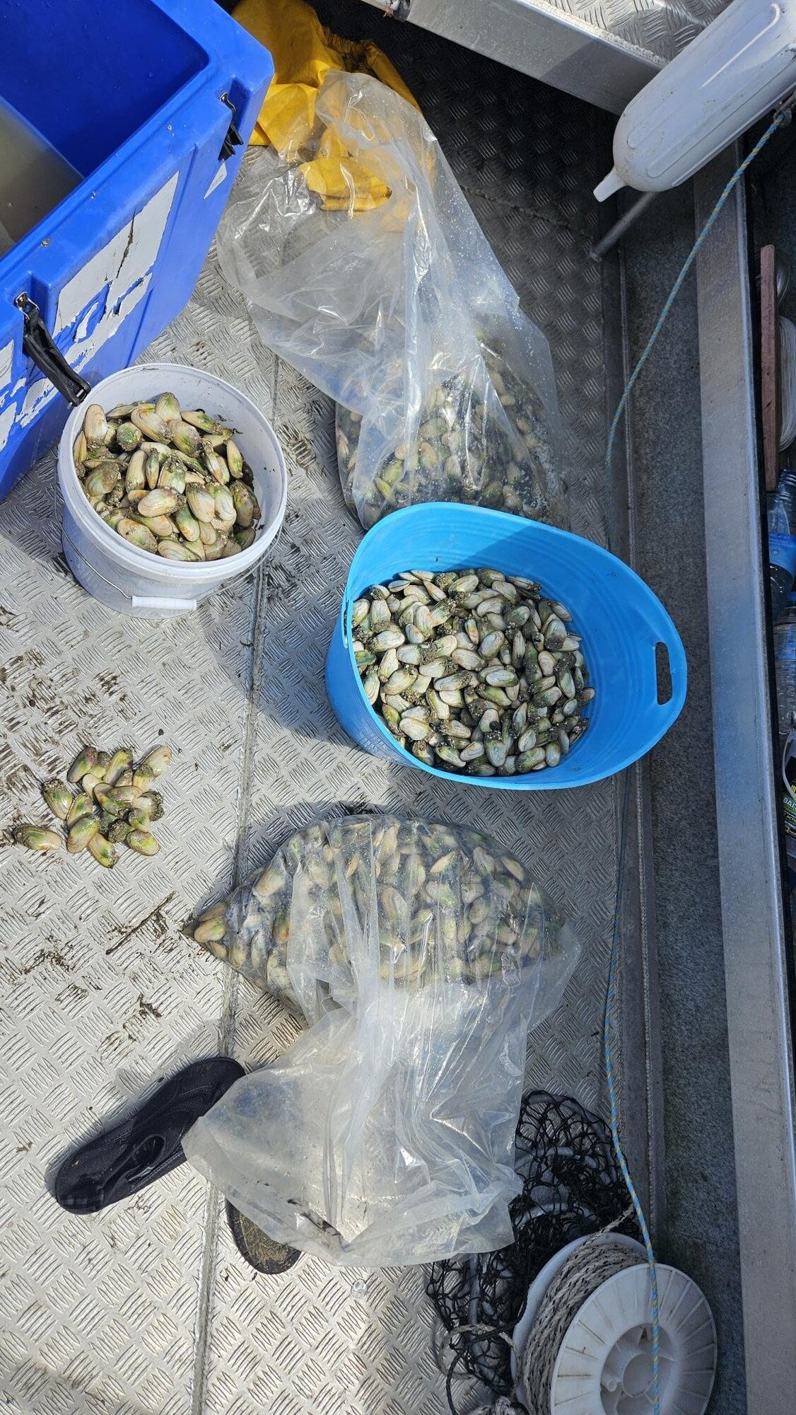  Pipi aboard a recently seized vessel. Photo / MPI