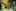 An image made from video released by British Petroleum shows equipment being used to try and plug a gushing oil well in the Gulf of Mexico. Photo / AP