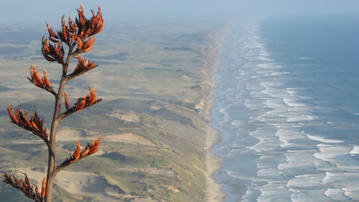 One person dies after coming off jet ski on remote stretch of Northland's west coast One person dies after coming off jet ski on remote stretch of Northland's west coast