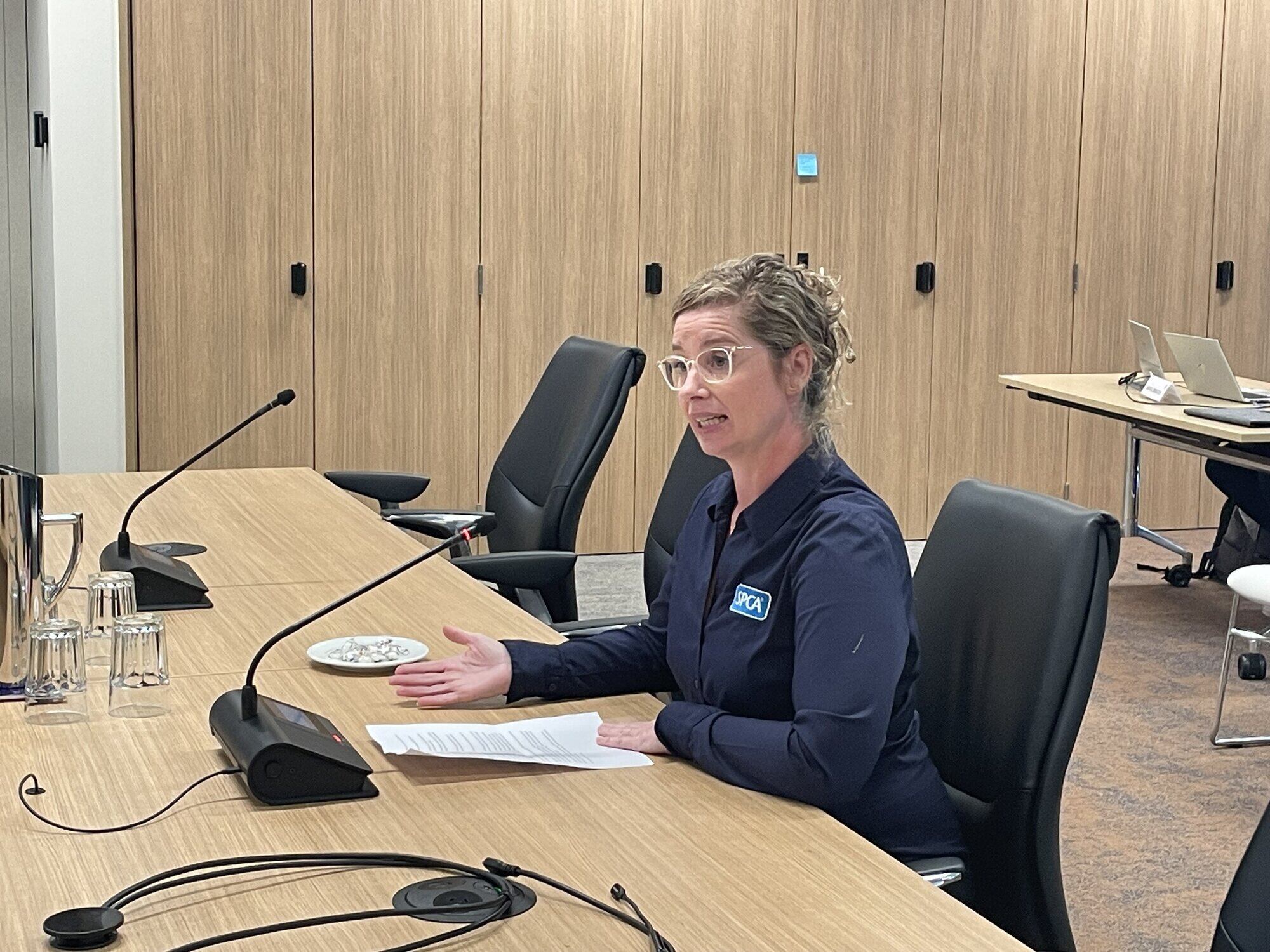  SPCA national science researcher, Jessica Walker, speaking in the Tauranga City Council public forum about banning firework use in public places. Photo / Ayla Yeoman