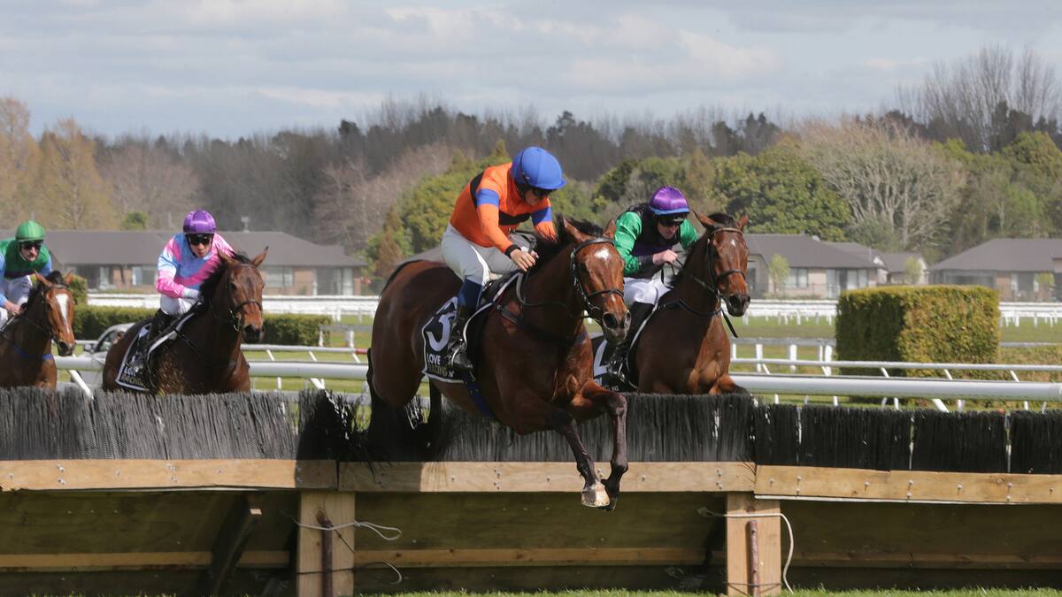 Racing: Right royal win in rich jumps race - NZ Herald