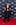 Photo / James Ensing-Trussell