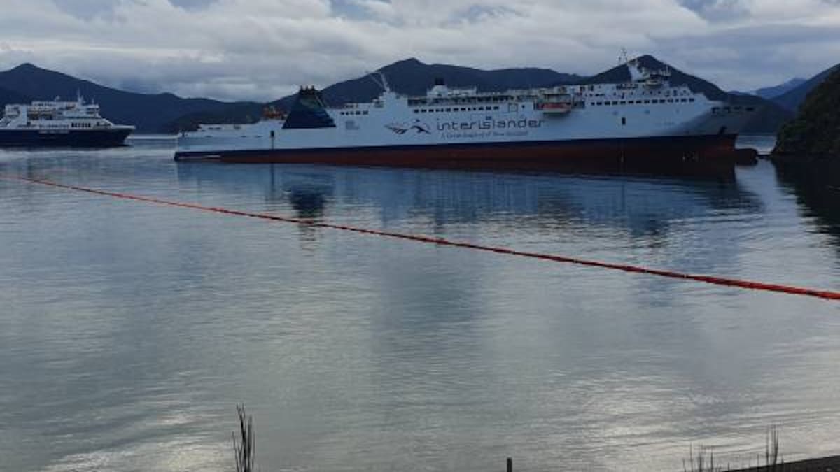 'Lost the ability to steer the ship': Minister gives update on grounded Interislander 'Lost the ability to steer the ship': Minister gives update on grounded Interislander