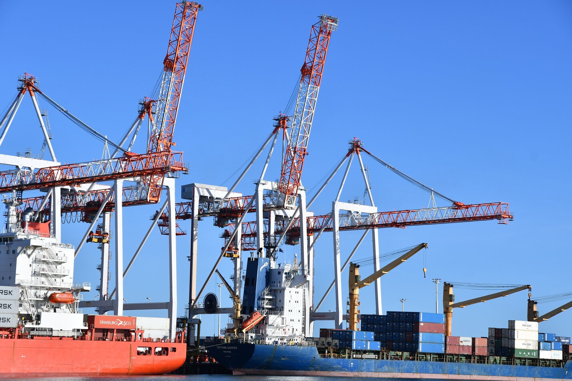 Container ships at Port of Tauranga. Photo / Laura Smith