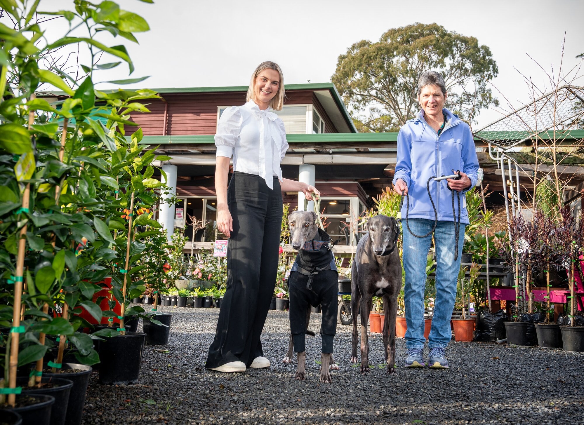  Local GAP volunteers Lauren Kramer and mother-in-law Sandy Henderson will be at Décor Gardenworld tomorrow with Maus and Marcel. Photo / Brydie Thompson