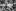 Photo / Alice Connew